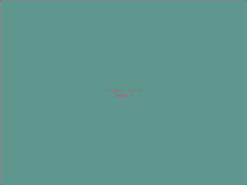 Example Product 1273