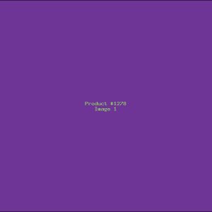 Example Product 1278