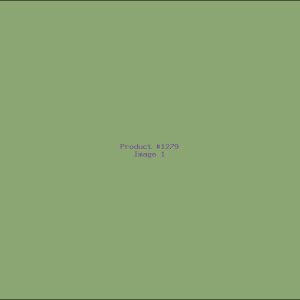 Example Product 1279