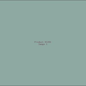 Example Product 1281