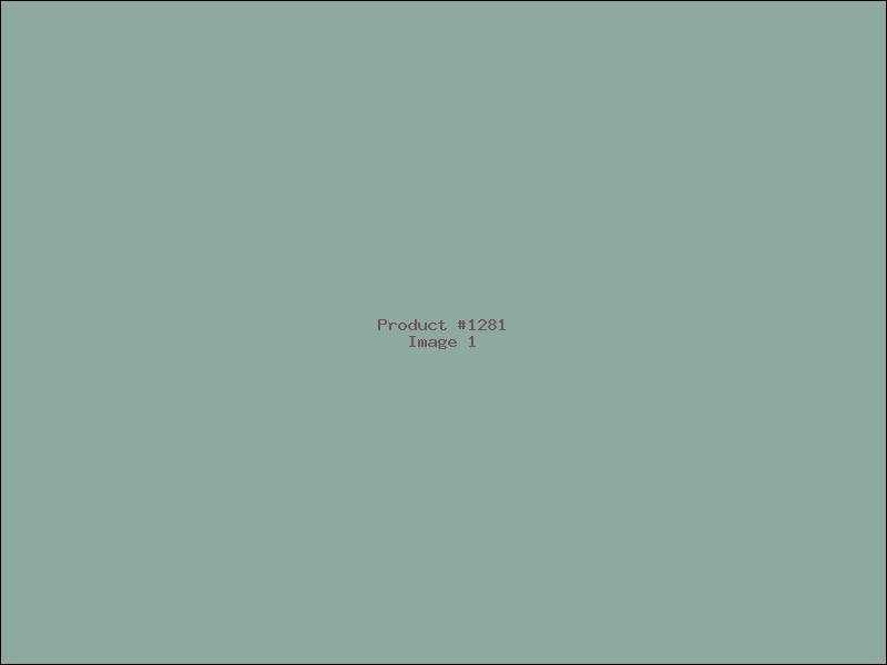 Example Product 1281