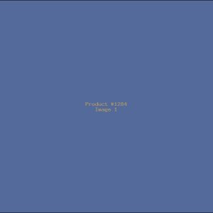 Example Product 1284