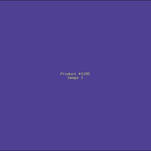Example Product 1285