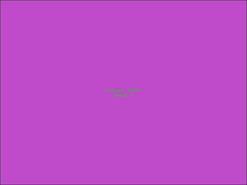 Example Product 1287 - Image 2