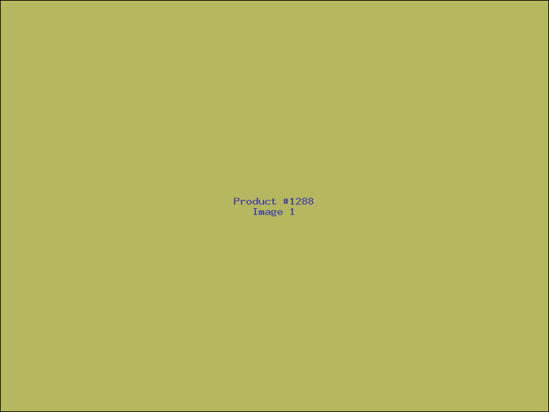 Example Product 1288