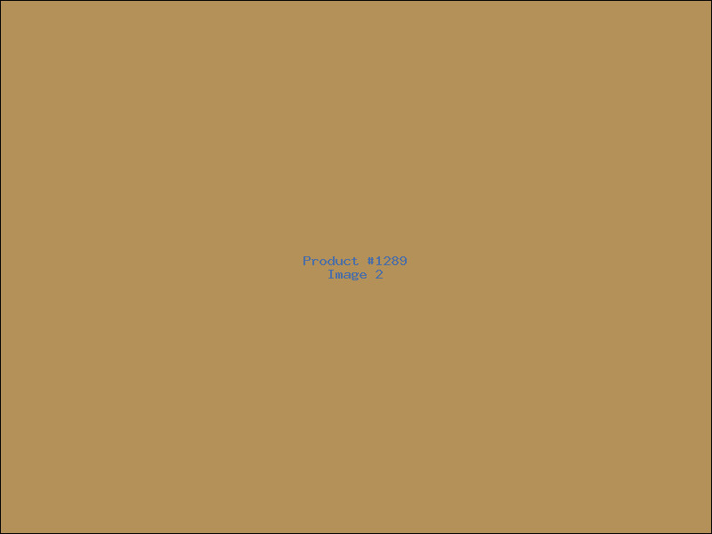 Example Product 1289 - Image 2