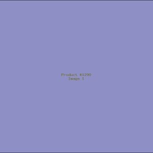 Example Product 1290