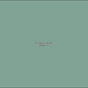 Example Product 1293