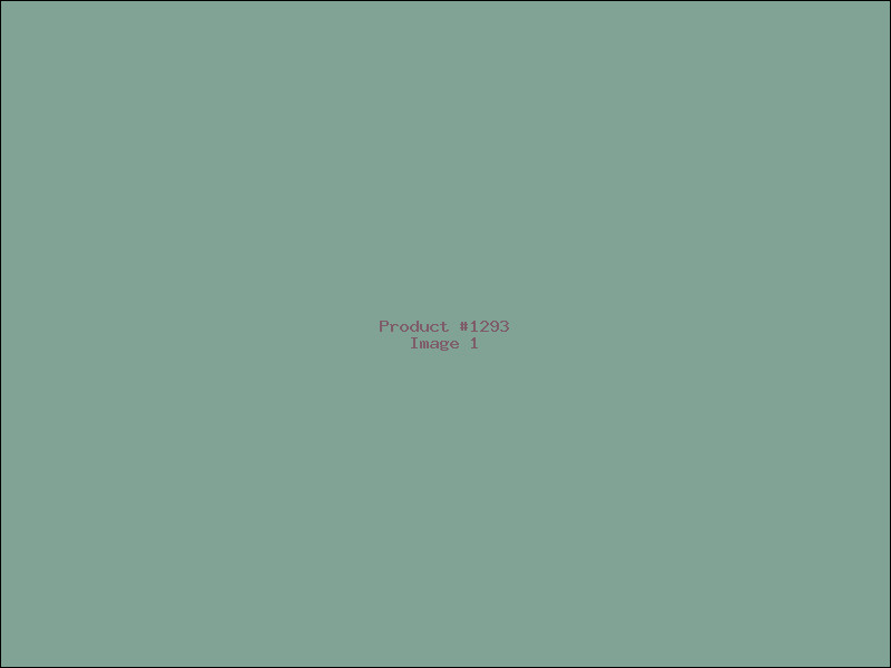 Example Product 1293