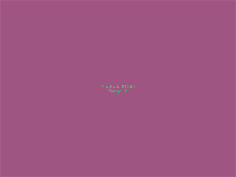 Example Product 1293 - Image 2