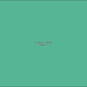 Example Product 1294
