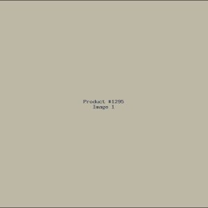 Example Product 1295