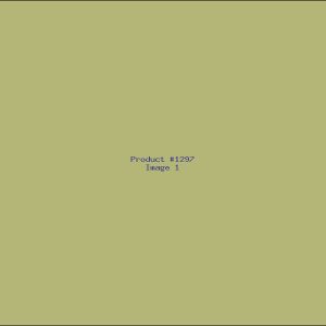 Example Product 1297