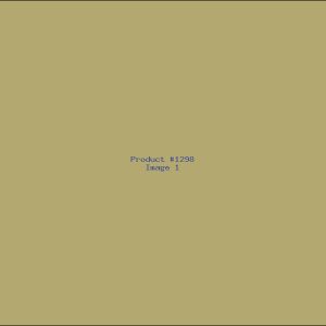 Example Product 1298