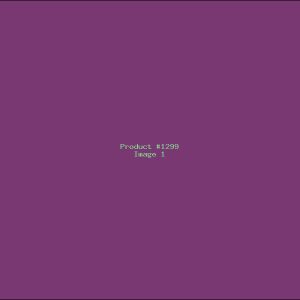 Example Product 1299