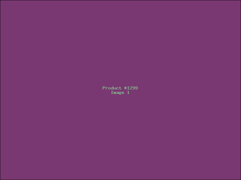 Example Product 1299