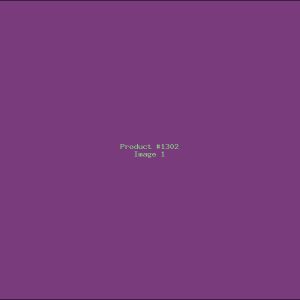 Example Product 1302