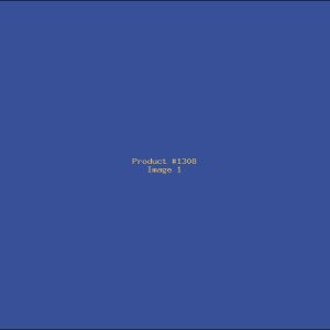 Example Product 1308