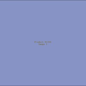 Example Product 1316