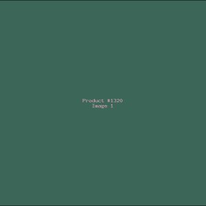 Example Product 1320