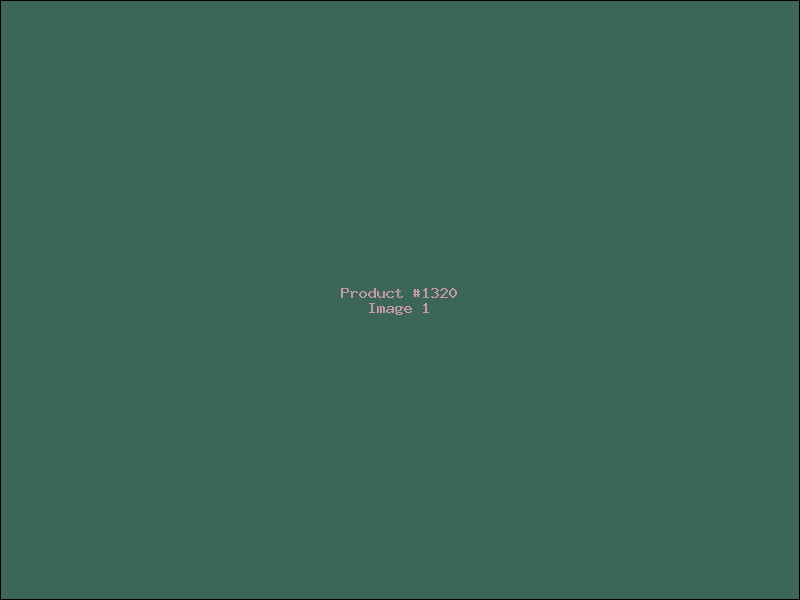 Example Product 1320