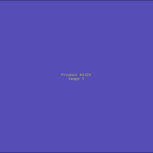 Example Product 1321