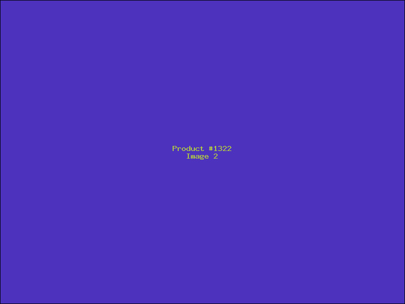 Example Product 1322 - Image 2