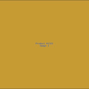 Example Product 1323