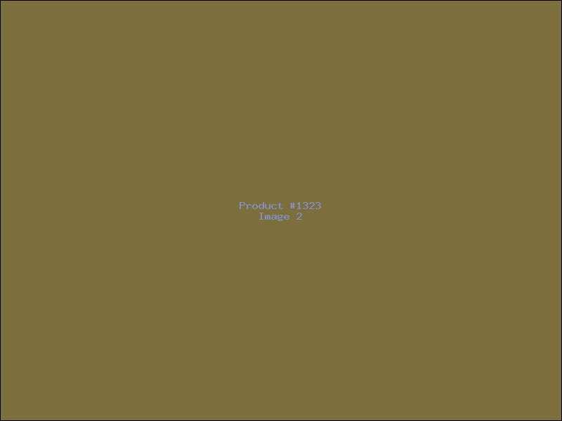Example Product 1323 - Image 2