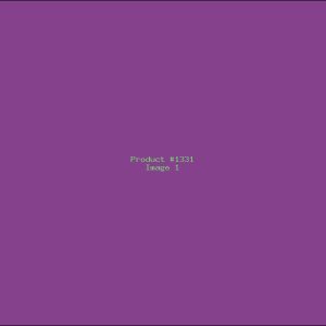Example Product 1331