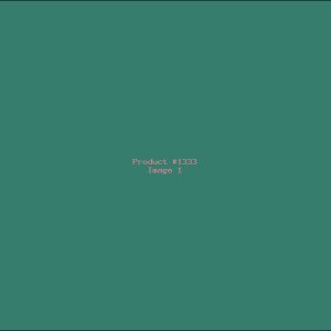 Example Product 1333