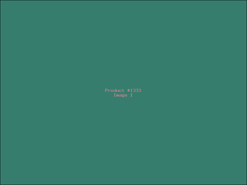 Example Product 1333