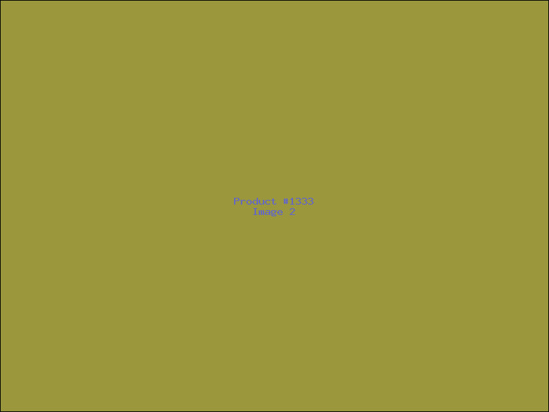 Example Product 1333 - Image 2