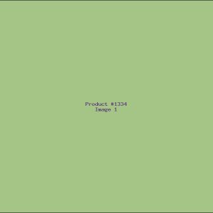 Example Product 1334