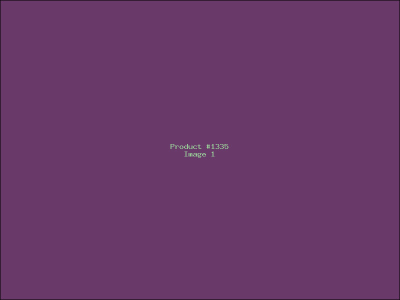 Example Product 1335