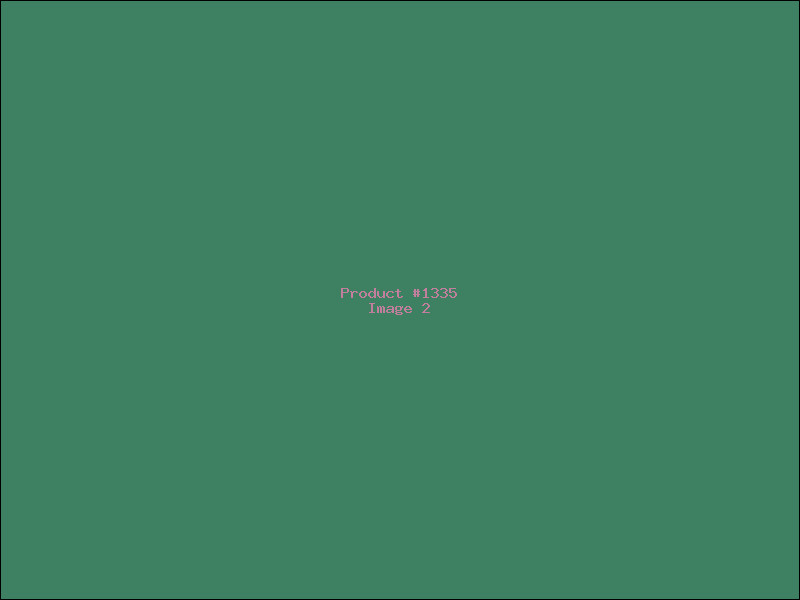 Example Product 1335 - Image 2