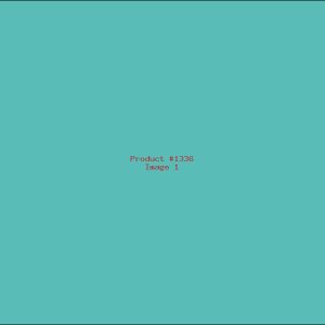 Example Product 1336