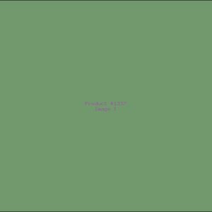 Example Product 1337