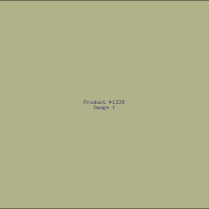Example Product 1339