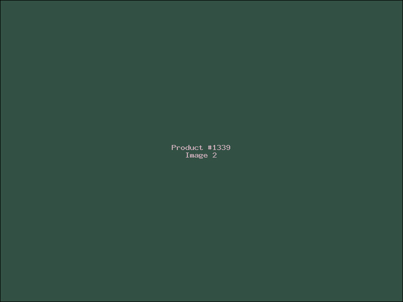 Example Product 1339 - Image 2