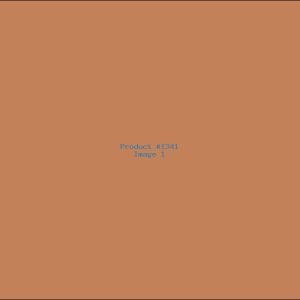 Example Product 1341