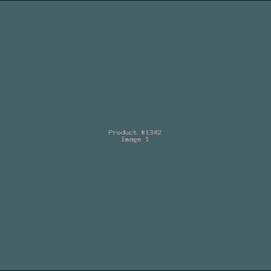 Example Product 1342