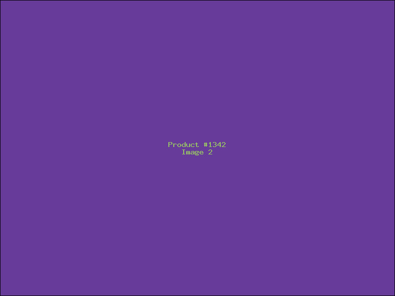 Example Product 1342 - Image 2