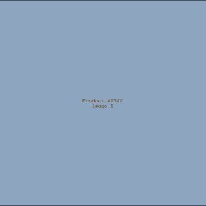 Example Product 1347