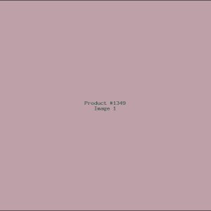 Example Product 1349