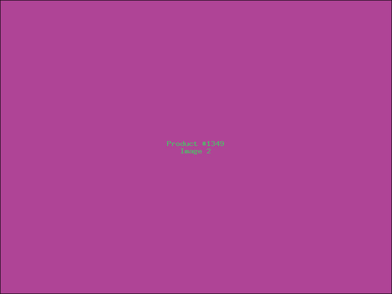 Example Product 1349 - Image 2
