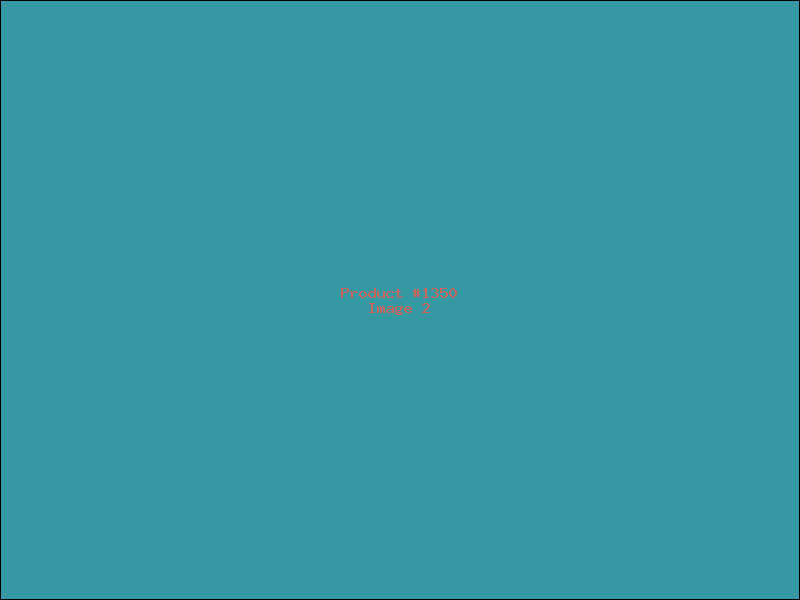 Example Product 1350 - Image 2