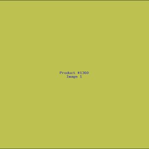 Example Product 1360