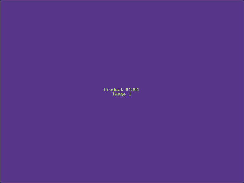 Example Product 1361