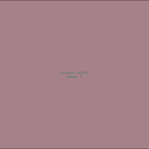 Example Product 1363